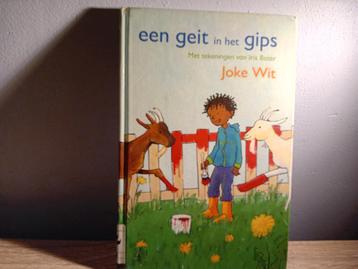 Joke Wit - een geit in het gips beschikbaar voor biedingen