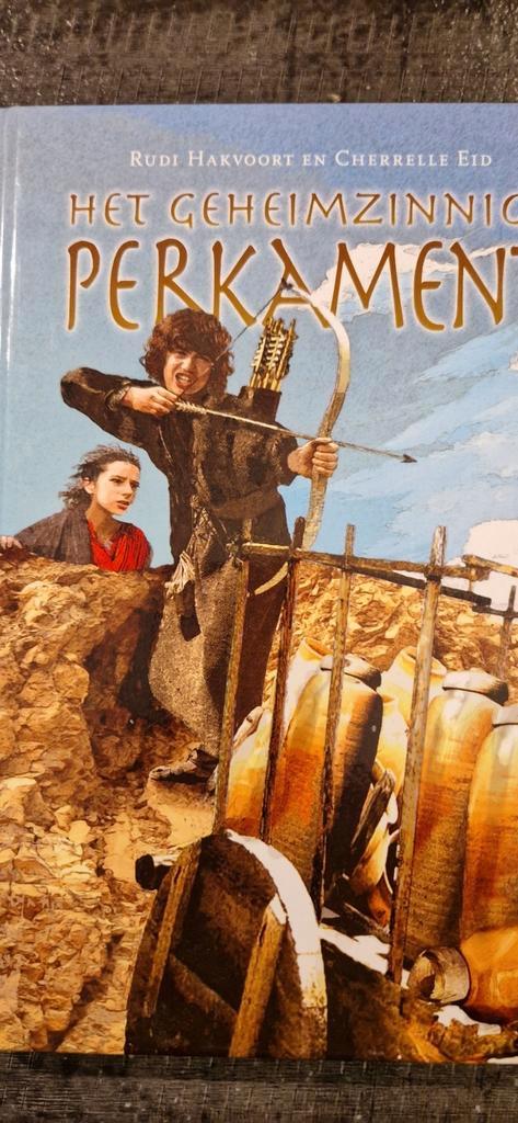 Rudi Hakvoort - Het geheimzinnige perkament, Boeken, Kinderboeken | Jeugd | 10 tot 12 jaar, Zo goed als nieuw, Ophalen of Verzenden