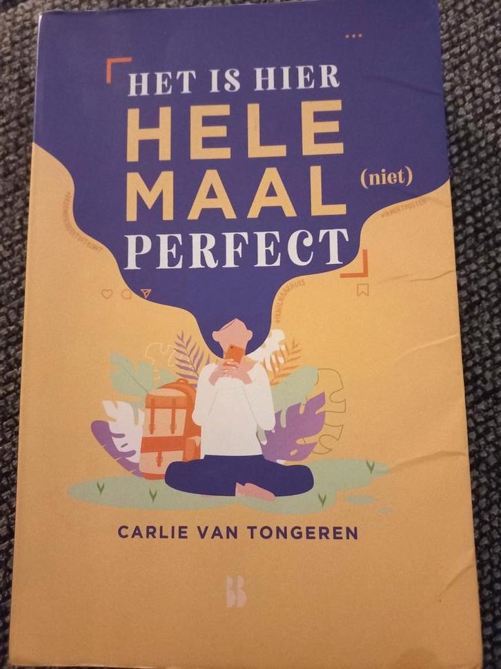 Het is hier Helemaal (niet) Perfect - Carlie van Tongeren, Boeken, Romans, Gelezen, Nederland, Ophalen of Verzenden