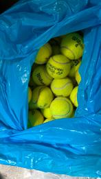 Gebruikte tennisballen voor hond? 97 stuks, Dieren en Toebehoren, Hondenspeelgoed, Gebruikt, Ophalen of Verzenden, Overig speelgoed