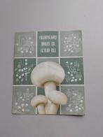 Champignons horen er altijd bij+ Recepten voor AH Champignon, Verzenden, Zo goed als nieuw, Overige typen
