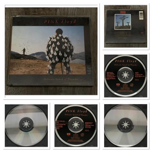 Pink Floyd: Delicate Sound of Thunder, Cd's en Dvd's, Cd's | Rock, Ophalen of Verzenden