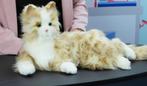 dementie kat, 2 maanden oud, gaat weg wegens overlijden, Ophalen of Verzenden, Zo goed als nieuw, Poes