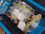 Diverse gesteenten en fossielen, Ophalen, Overige typen