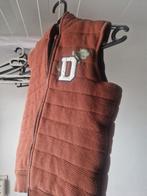 Bodywarmer maat 116, Ophalen of Verzenden, Zo goed als nieuw, Maat 34 (XS) of kleiner