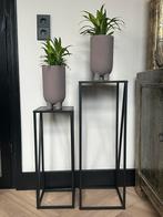 Mooi set: plantenstandaards met planten in pot!, Ophalen