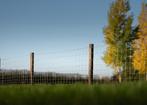 Weidepalen, Paal, Afrasteringspaal, Paardenweide, Palen, Weidegang, Sales@veldomheiningen.nl, Schaijk, 4 paarden of pony's of meer