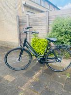 Volwassen fiets, Fietsen en Brommers, Fietsen | Driewielfietsen, Ophalen of Verzenden