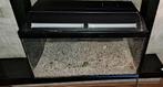 leeg aquarium, Dieren en Toebehoren, Vissen | Aquaria en Toebehoren, Ophalen, Gebruikt, Leeg aquarium