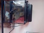 Terraruim, Dieren en Toebehoren, Reptielen en Amfibieën | Toebehoren, Ophalen, Gebruikt, Terrarium of Paludarium