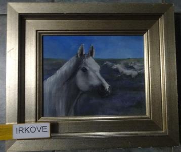 SCHILDERIJ VOLBLOED PAARDEN * OLIEVERF In Lijst *  beschikbaar voor biedingen