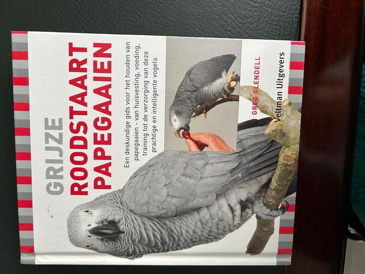 Grijze Roodstaart Papegaaien - Greg Glendell, Boeken, Hobby en Vrije tijd, Zo goed als nieuw, Overige onderwerpen, Ophalen