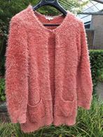 Lekker, warm winter vest, maat L koraal kleur, IZGS, pluizig, Kleding | Dames, Truien en Vesten, Maat 38/40 (M), M & S Mode, Oranje