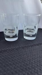 BAILEYS glazen, 11 cm hoog, 2 stuks, Verzamelen, Ophalen of Verzenden, Zo goed als nieuw, Borrel- of Shotglas