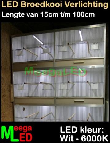 LED profiel TC420 SET 10x 33cm Broedkooi Kweekkooi Vogelkooi beschikbaar voor biedingen