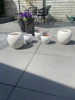 Bloempotten, Gebruikt, Rond, Binnen, Minder dan 40 cm