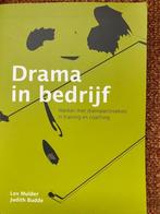 Drama in bedrijf - Lex Mulder & Judith Budde, Ophalen of Verzenden, Zo goed als nieuw, Mulder & Budde