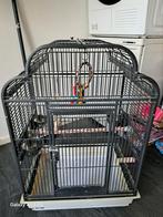 Vogelskooi, Ophalen of Verzenden, Zo goed als nieuw, Metaal, Vogelkooi