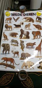 poster e-c-p wilde dieren, Ophalen of Verzenden