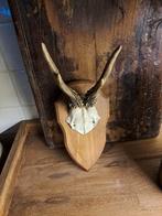 Geweitje op houten schild sober,landelijk,vintage, Ophalen of Verzenden, Zo goed als nieuw, Beeldje of Figuurtje