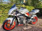 Aprilia RSV 1000 tuono, Motoren, Motoren | Aprilia, 2 cilinders, Particulier, Naked bike, Meer dan 35 kW