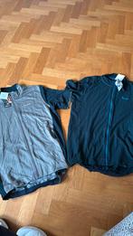 Nieuw Wielren shirts korte mouw Isadore XL heren, Ophalen, Nieuw, Kleding