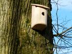 Vogel nestkasten, Dieren en Toebehoren, Nieuw, Overige typen, Ophalen of Verzenden