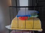 Nieuwe hamster muizen kooien in verschillende kleuren, Dieren en Toebehoren, Knaagdieren en Konijnen | Hokken en Kooien, Minder dan 60 cm
