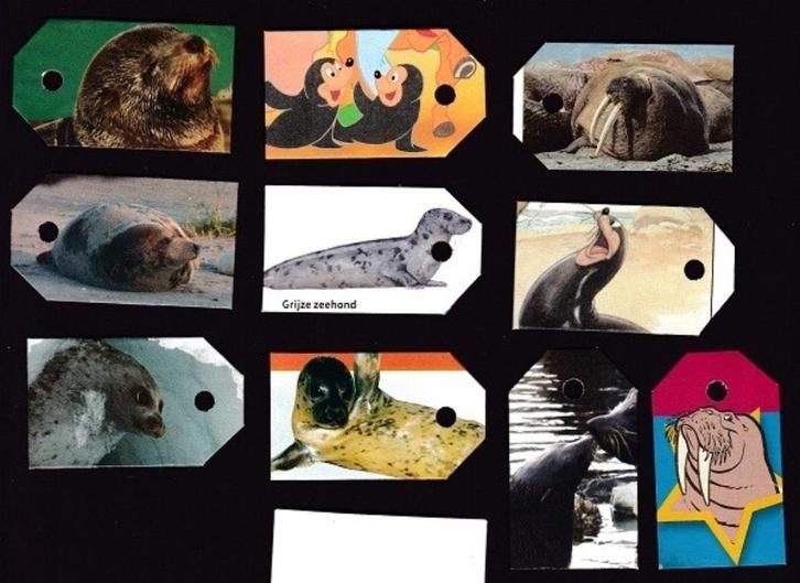 2909) zeehonden, otters, bevers e.d. labeltjes, Verzamelen, Dierenverzamelingen, Zo goed als nieuw, Ophalen of Verzenden
