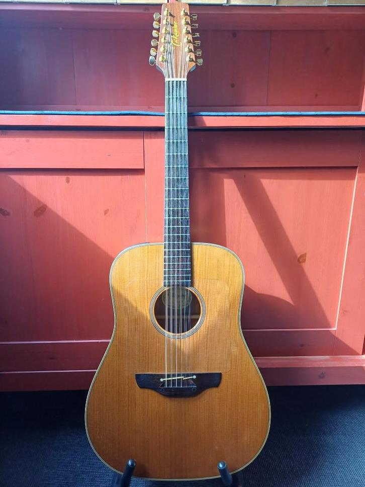 Takamine EN10-12 1990 12 snarig Gitaar MIJ Prachtig geluid!, Muziek en Instrumenten, Snaarinstrumenten | Gitaren | Akoestisch