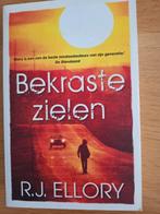 R J Ellory - 11 boeken, Ophalen of Verzenden, Gelezen, R  J Ellory, Amerika