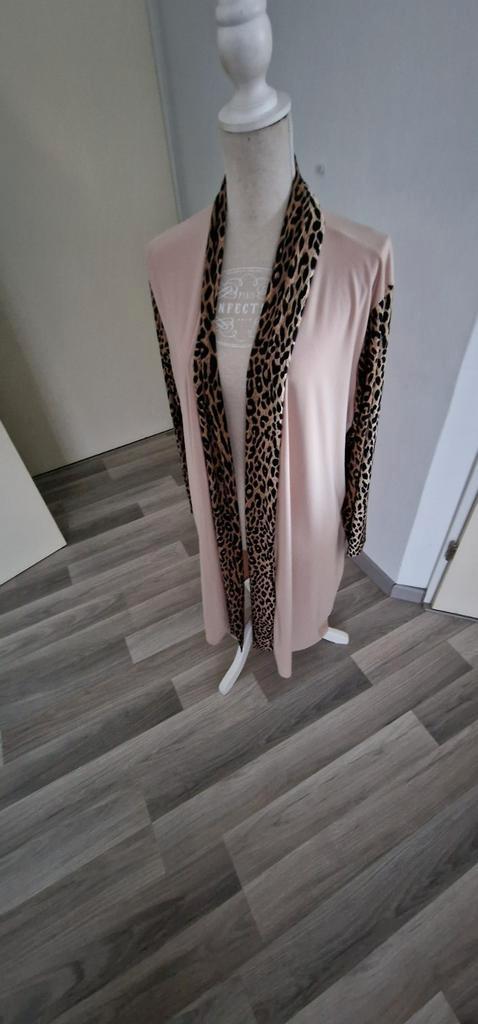 19)Te koop nieuw zandkleurigvest met panter 1 maat onv.5052, Kleding | Dames, Grote Maten, Nieuw, Trui of Vest, Beige, Ophalen of Verzenden