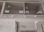 Tweedelige broedkooien 3 stuks, Dieren en Toebehoren, Vogels | Hokken en Kooien, Ophalen, Zo goed als nieuw, Hout, Broedkooi of Kweekkooi