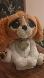 Rescue dog, Ophalen, Zo goed als nieuw, Hond