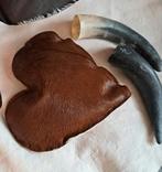 Dierenhuid hart en koeien hoorns, Huis en Inrichting, Woonaccessoires | Overige, Ophalen of Verzenden