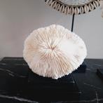 Gaaf vintage ornament op zwarte voet hotel chique, Huis en Inrichting, Ophalen of Verzenden, X, X, X