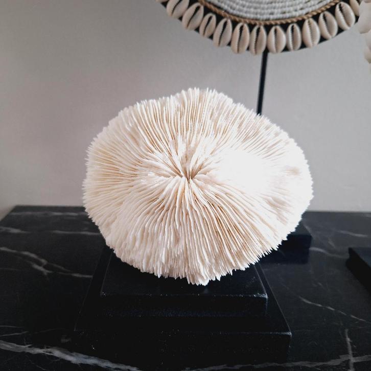 Gaaf vintage ornament op zwarte voet hotel chique, Huis en Inrichting, Woonaccessoires | Overige, Ophalen of Verzenden