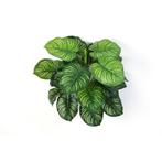 Kunstplant Calathea Green 45 cm. 1112N, Ophalen, Nieuw, Binnen