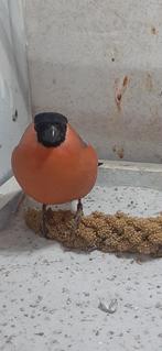 Goudvink koppel wildkleur, Dieren en Toebehoren, Vogels | Overige Vogels, Meerdere dieren, Wildzangvogel, Geringd