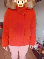 Mooie winterjas van Superdry, Maat 38/40 (M), Superdry, Oranje, Ophalen of Verzenden