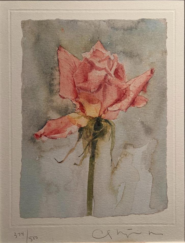 Roos van Carol Matyia Ross, Antiek en Kunst, Kunst | Schilderijen | Modern, Ophalen of Verzenden