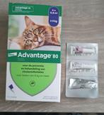 Advantage 80 kat boven 4 kilo, 2 pipetten vlooienmiddel, Dieren en Toebehoren, Ophalen of Verzenden, Zo goed als nieuw