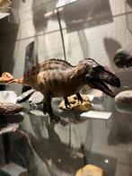 PNSO 1:35 Acrocanthosaurus model, Ophalen of Verzenden, Nieuw