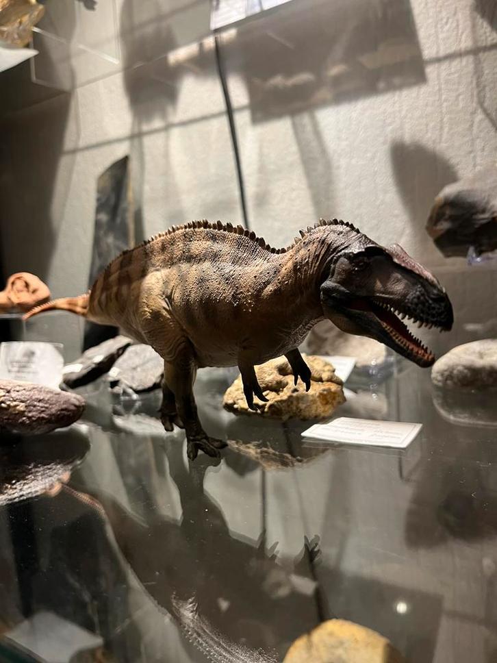 PNSO 1:35 Acrocanthosaurus model, Verzamelen, Poppetjes en Figuurtjes, Nieuw, Ophalen of Verzenden