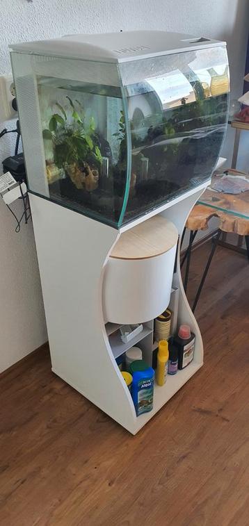 Design aquarium Fluval met kast en filters, voer, toebehoren beschikbaar voor biedingen