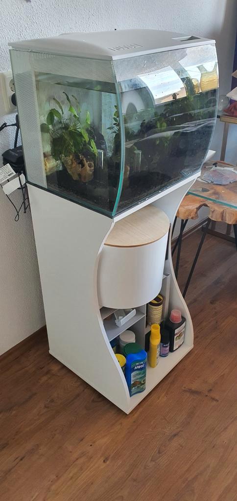 Design aquarium Fluval met kast en filters, voer, toebehoren, Dieren en Toebehoren, Vissen | Aquariumvissen, Vis