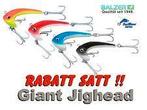 Balzer Giant jigs van 225 gram / stuk., Watersport en Boten, Ophalen of Verzenden, Nieuw, Dobber of Lood