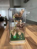 Springspin terrarium hok klein, Overige soorten