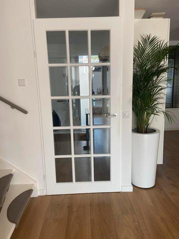 Stijlvolle Opdekdeur met Glas beschikbaar voor biedingen