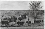 Slenaken Panorama  Oude Ongelopen  Ansichtkaart ( B5152 ), Verzamelen, Ophalen of Verzenden, Ongelopen
